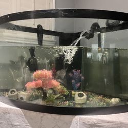 Glass Fish Tank