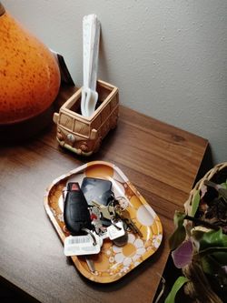 70s rolling tray and VW succulent planter