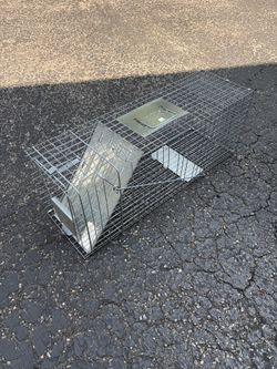 Racoon Trap