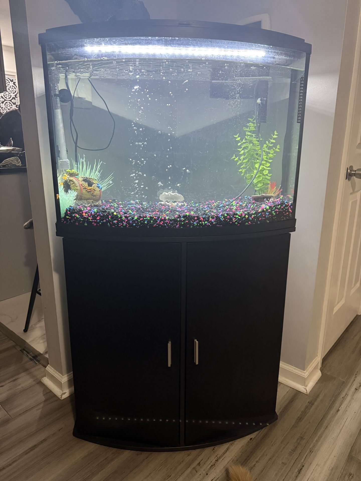 36 Gallon Fish Tank