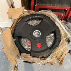 45 lb Olympic Rubber Weight Plates