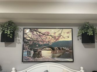 Paradigm Reference Surround Studio Speakers