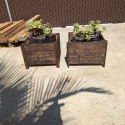 2 Planters With Succulents