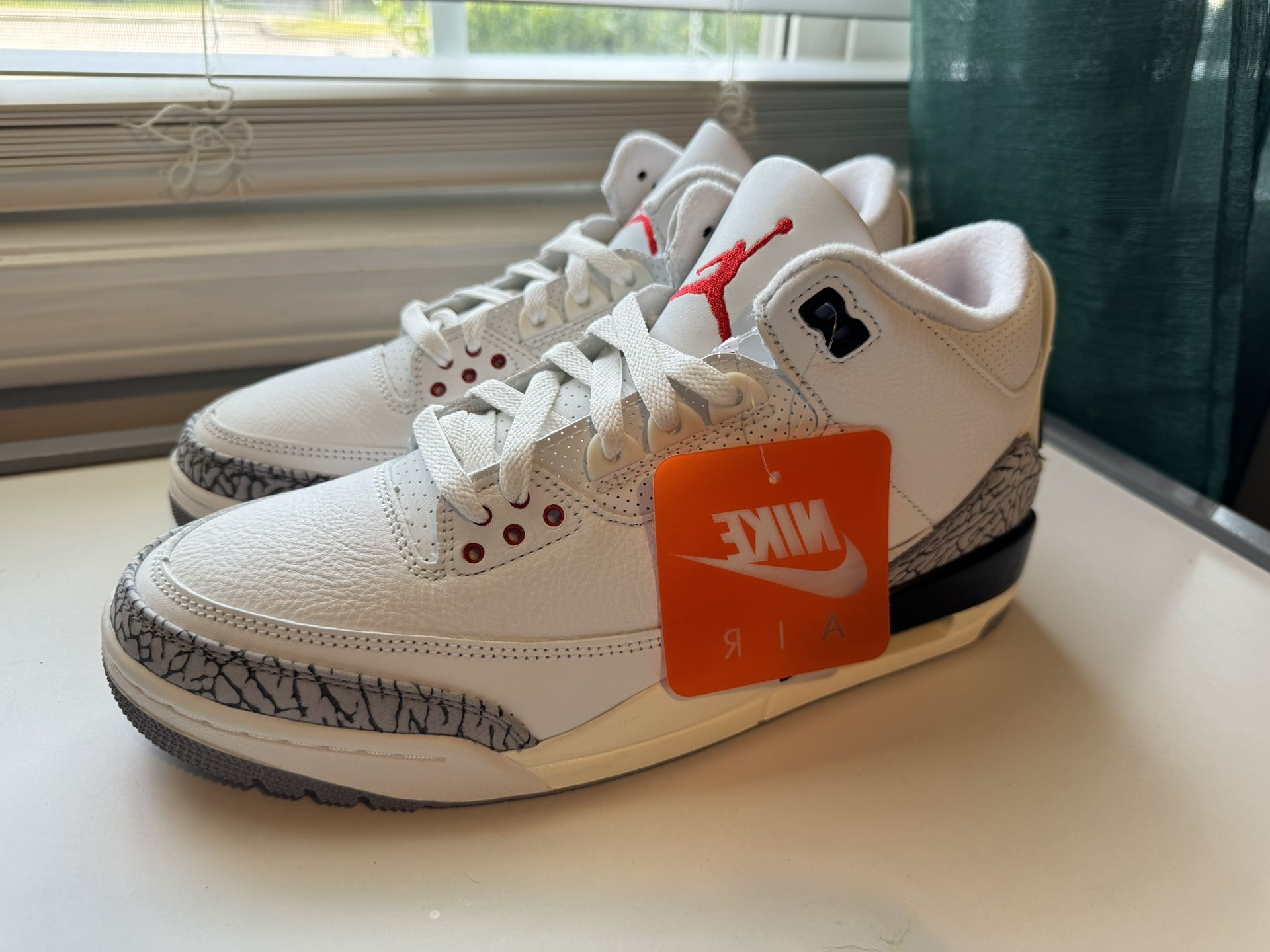 Jordan 3s DS