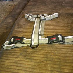 New  Harness For Big Dogs