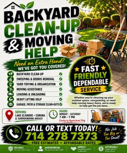 Backyard clean up