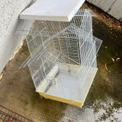 Bird Cage 