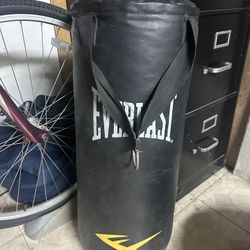 Everlast Boxing Bag 