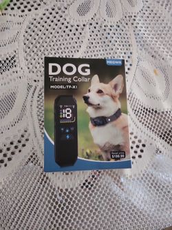 Dog Training Collar