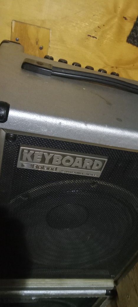 Roland Amps