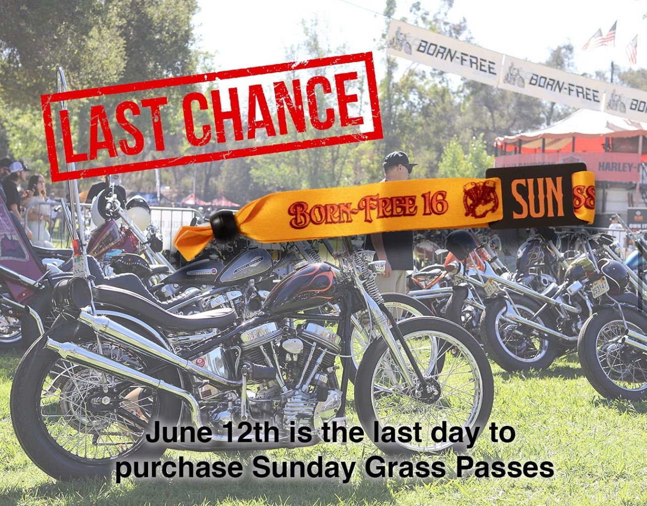 Born Free - Grass Pass *** SUNDAY ***