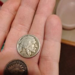Buffalo Nickel No Mint