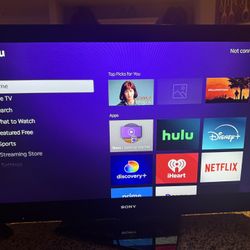 Sony Bravia 45 In TV 