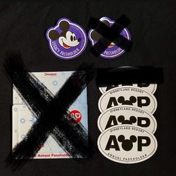 Disneyland AP Magnets 1 Free with Any Purchase