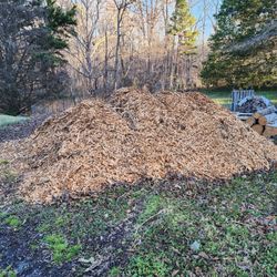 Wood Chips