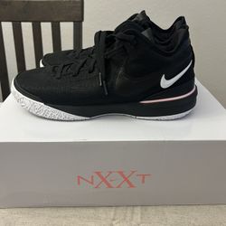 Zoom LeBron NXXT Gen