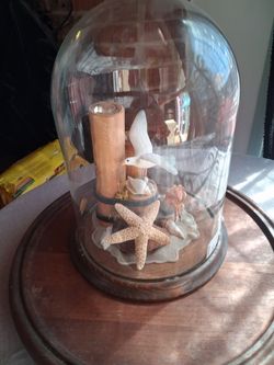 Beach in a glass dome