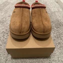 Tasman uggs 