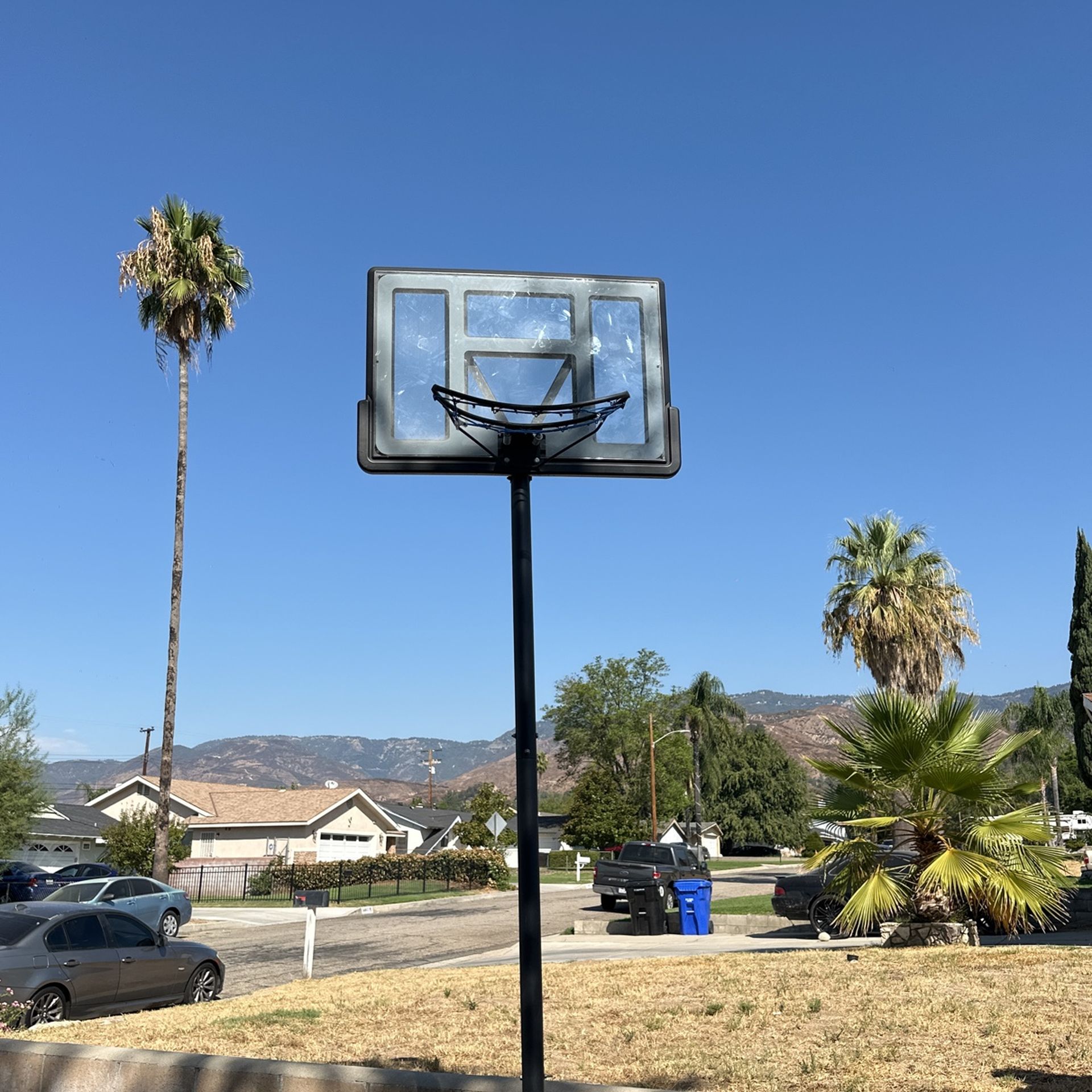 Basketball