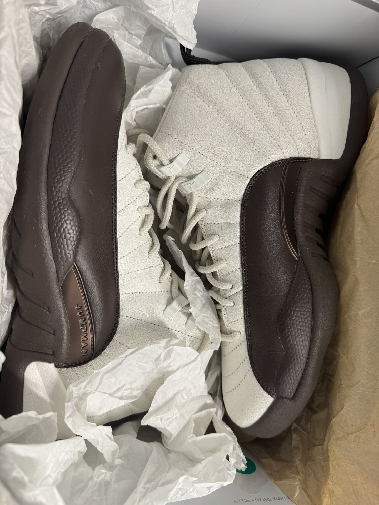 Jordan 12 Cafecito