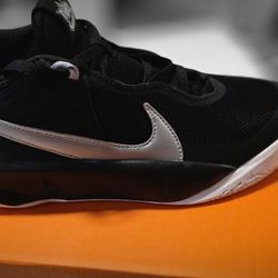 Nike Shoes TEAM HUSTLE NEW In its original box, brand new, unused. Only the box lid is missing.  Bargain price.