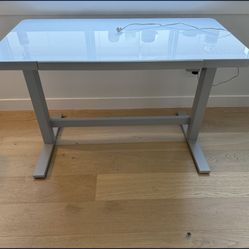 Tresanti (Costco) Standing Desk - Like New
