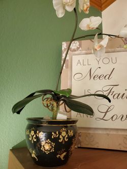 Decorations 