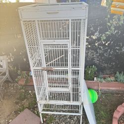 Bird Cage