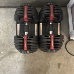 Work Out Bench And Dumbbells 