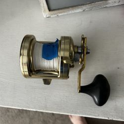 Shimano Trinidad 20