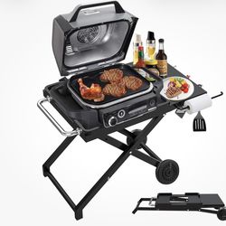 Ninja Woodfire Outdoor Grill And Smoker