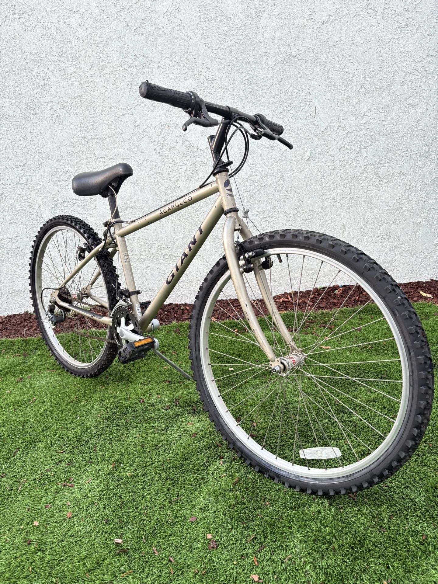 Mountain Bike