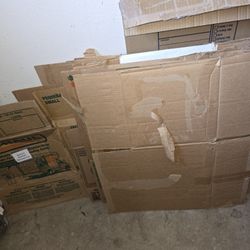 Free Boxes - Various sizes