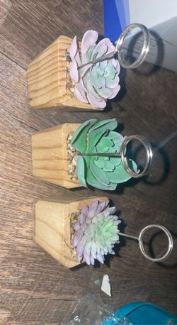 Succulent photo/card holder
