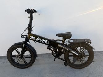 Foldable Ebike/ Electric Bike