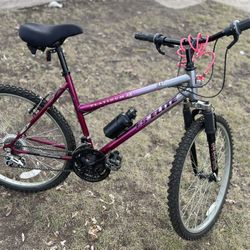 Fs Elite Bike