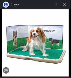 Indoor Dog Potty Tray with Grass Mat