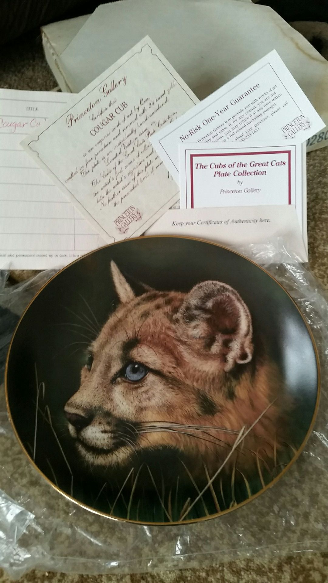 Baby Cougar Cub from 90s