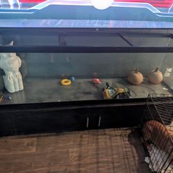 120 G Tank 