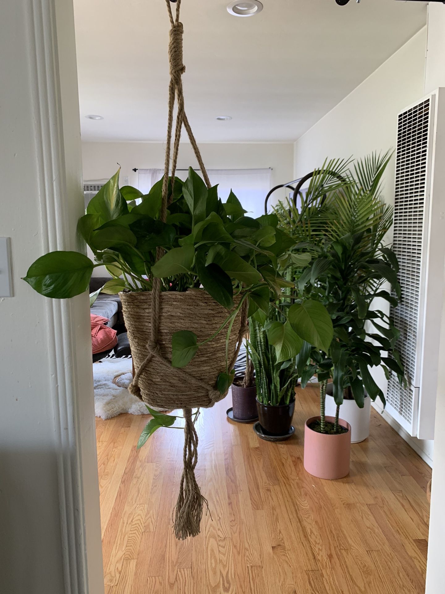 Plant hanger & pot