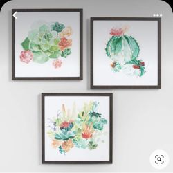 Set Of 3 Pictures Succulent Watercolor