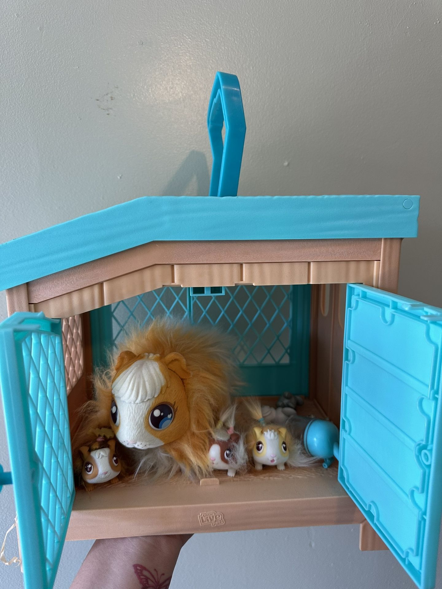 Little Live Pets, Guinea Pigs