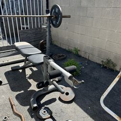 Weights / Adjustable Bench Set Up 