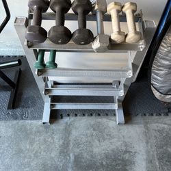 Weight Rack + Dumbbells 