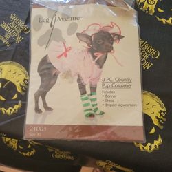 Dog Costume 