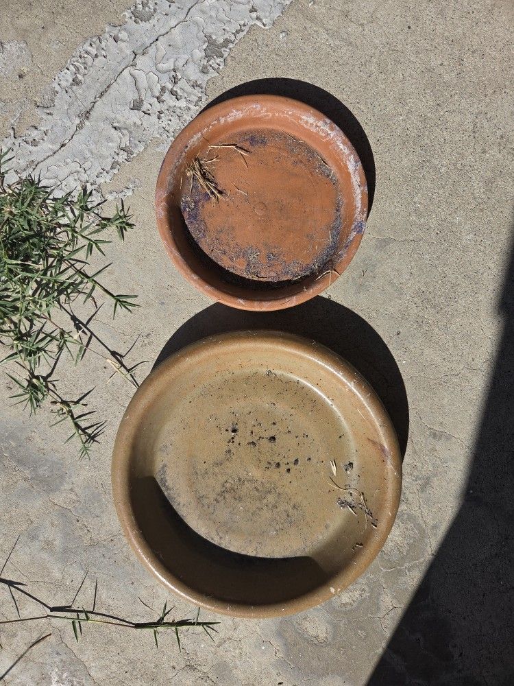 Clay Saucers For Plants