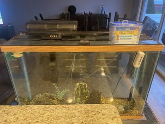 40 - 50 Gallon Tank