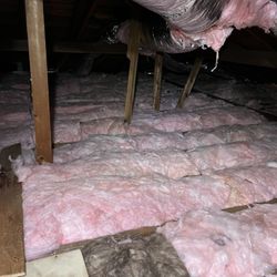Insulation 