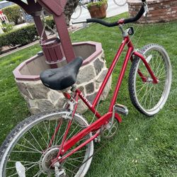 Schwinn Cruiser 5