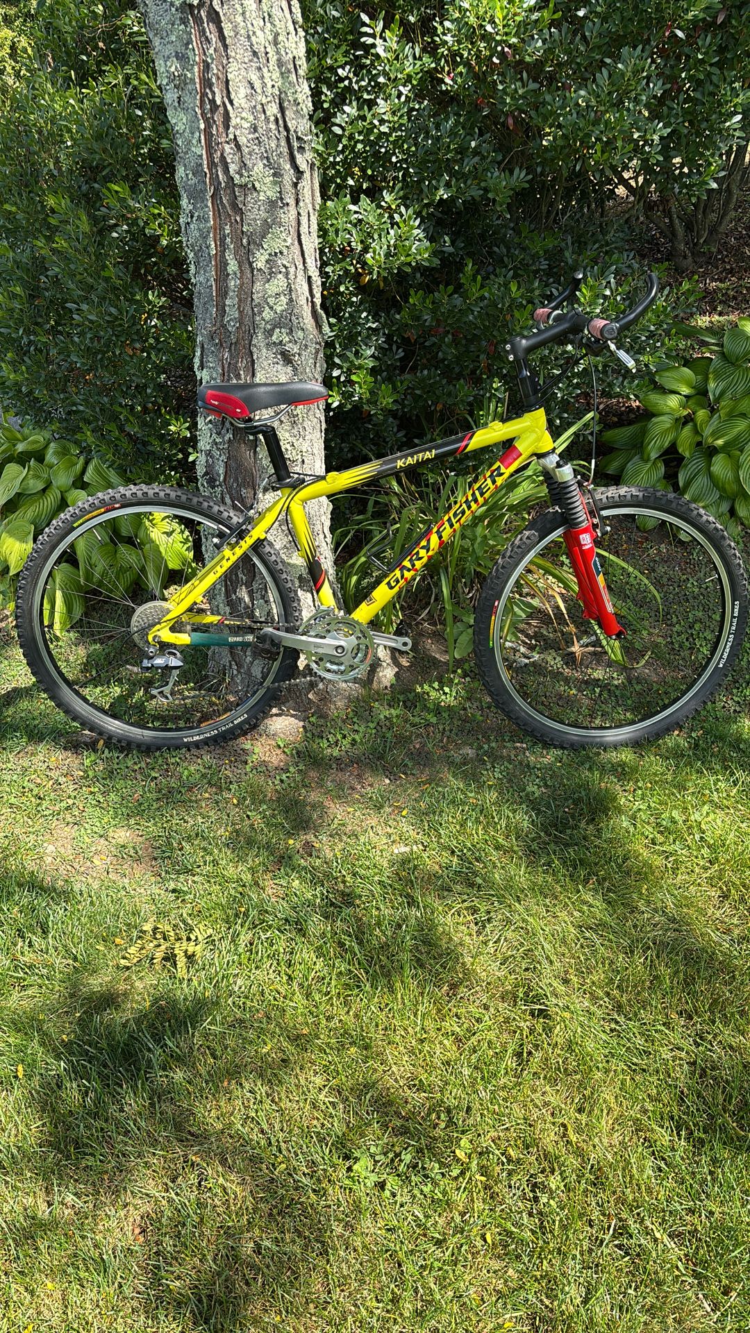 Gary Fisher Mountain Bike